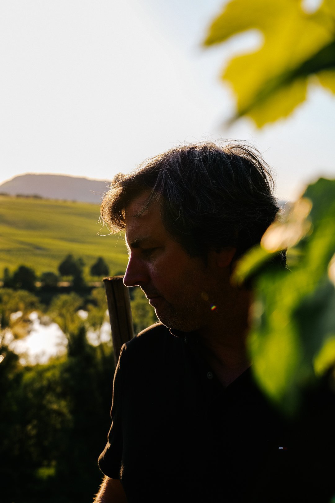 Die Silhouette einer Person, die inmitten von Grün steht, während sanftes Sonnenlicht die Szene erhellt.